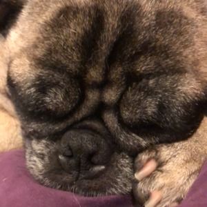 Meet your Posher, Doug